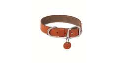 Ruffwear Halsband Frisco Collar M 43-51 cm; orange